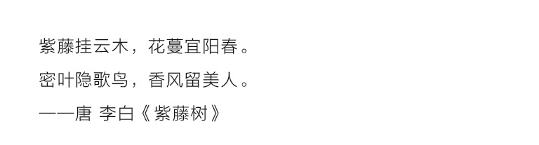 桑蚕丝香云纱印花背提包：紫藤花下