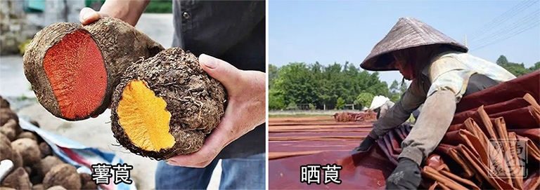 桑蚕丝香云纱印花背提包：紫藤花下
