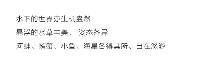 100%桑蚕丝/真丝素绉缎丝巾：莲塘倩影