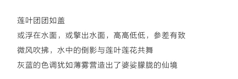 100%桑蚕丝/真丝素绉缎丝巾：莲塘倩影