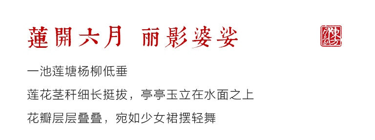 100%桑蚕丝/真丝素绉缎丝巾：莲塘倩影