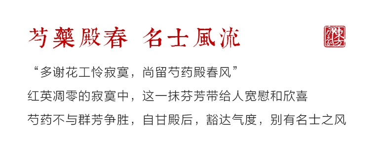 100%桑蚕丝/真丝素绉缎丝巾长巾:芍药殿春