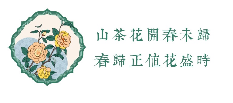 100%桑蚕丝/真丝素绉缎丝巾：花姿竹影（小方巾）
