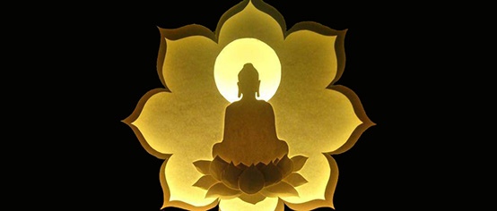 人生亦如莲 莲花与佛教的不解之缘